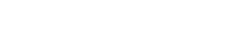 AID Partner